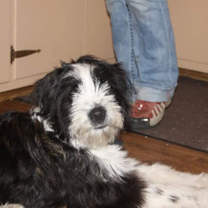 Meet your Posher, Wendy